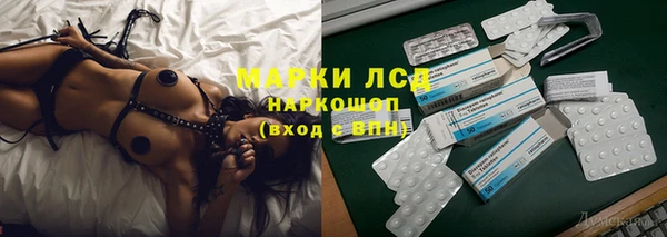 гашик Тихвин