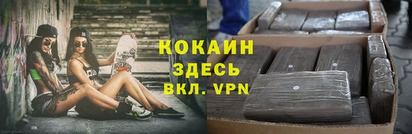 ПСИЛОЦИБИНОВЫЕ ГРИБЫ Тобольск