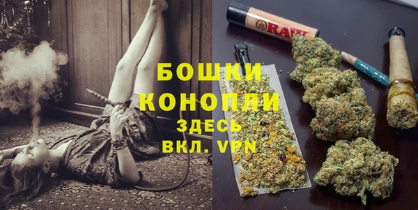 гашик Тихвин