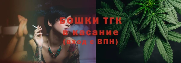 гашик Тихвин
