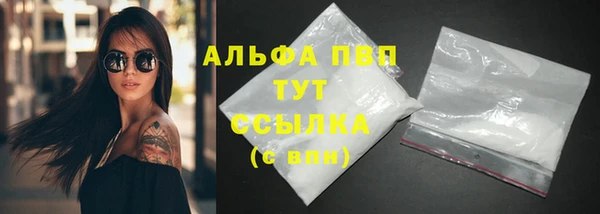 гашик Тихвин