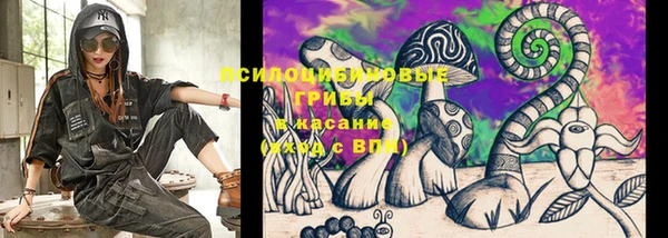 ПСИЛОЦИБИНОВЫЕ ГРИБЫ Тобольск