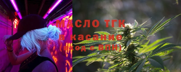 гашик Тихвин
