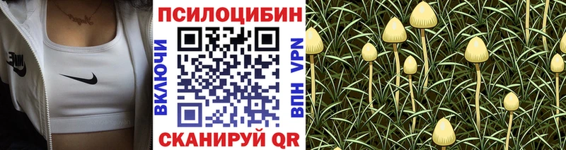 Псилоцибиновые грибы мицелий  кракен   Липецк  где купить наркоту 