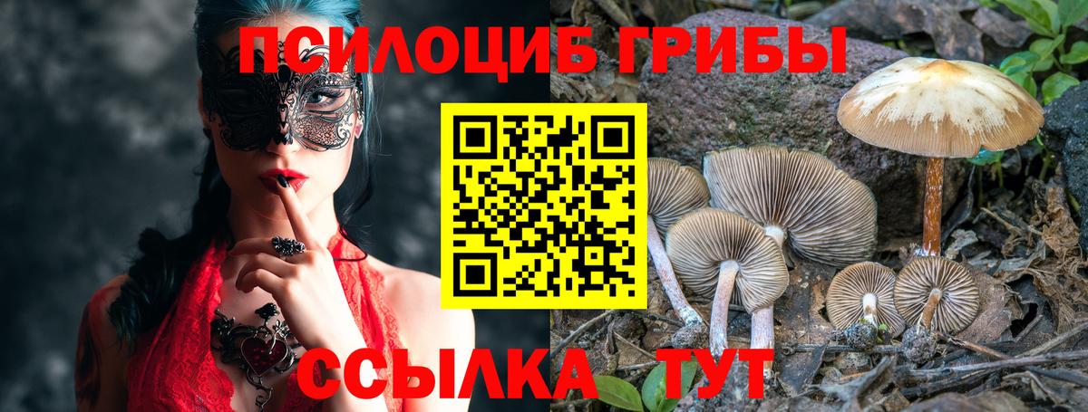Псилоцибиновые грибы Cubensis Липецк