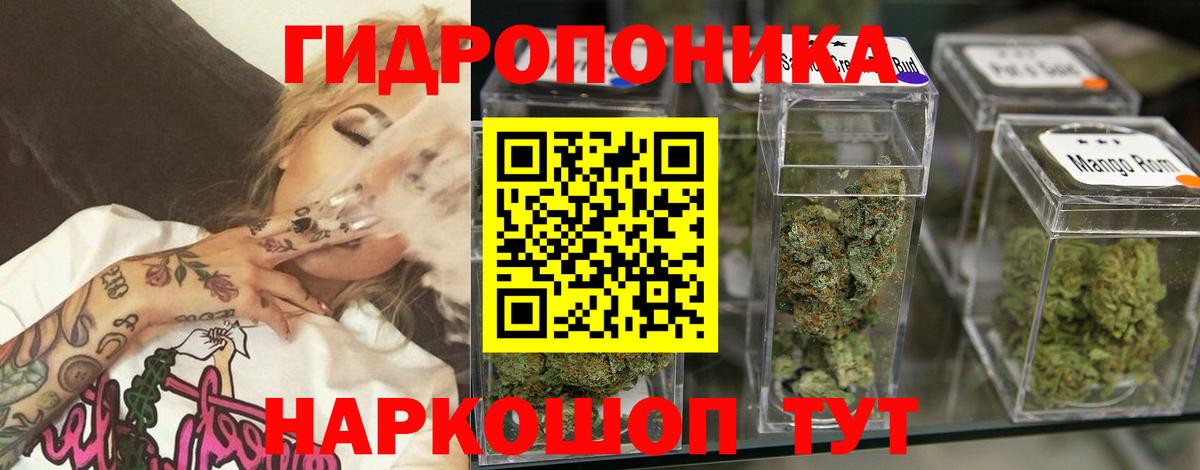 Бошки марихуана White Widow  Марихуана OG Kush  Шишки марихуана конопля  Липецк 